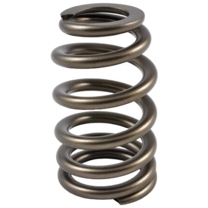 PAC Beehive Ovate Valve Spring 1.405 OD