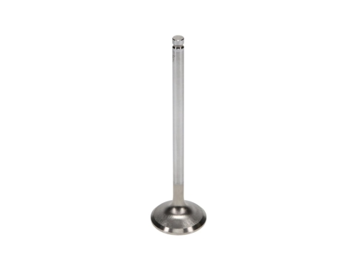 Manley Acura 1.6L B16A1 Exh Valve 28.00mm x 102.70mm x .2150 - Image 3