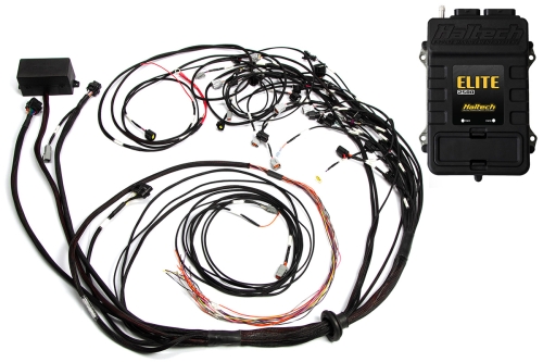 Haltech Elite 2500 - Ford Falcon BA/BF Barra Term Harn kit