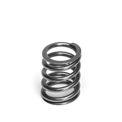 Supertech Valve Spring Set Honda K20/D16/F22/R18